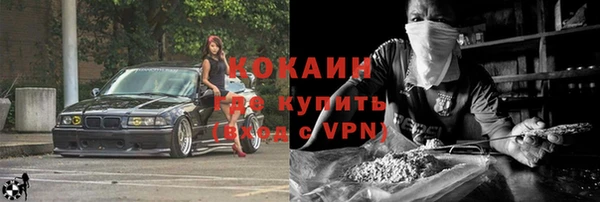 мяу мяу мука Бородино